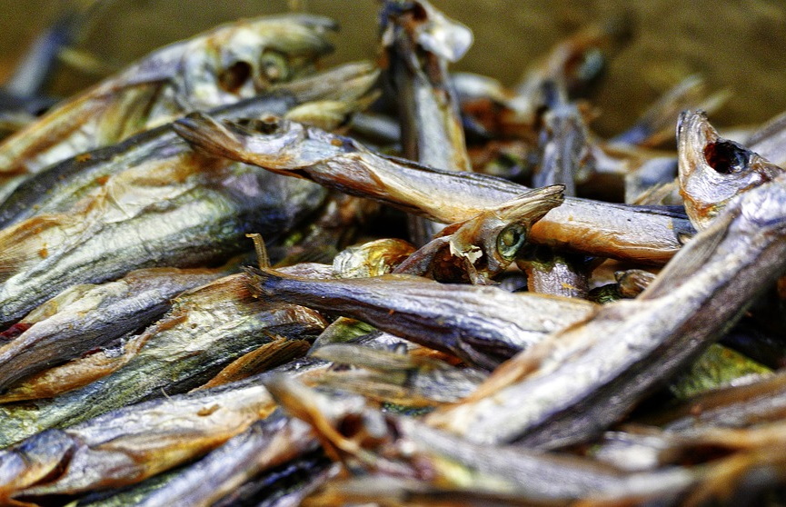 Een uitgebreid aanbod aan verse vis en visproducten